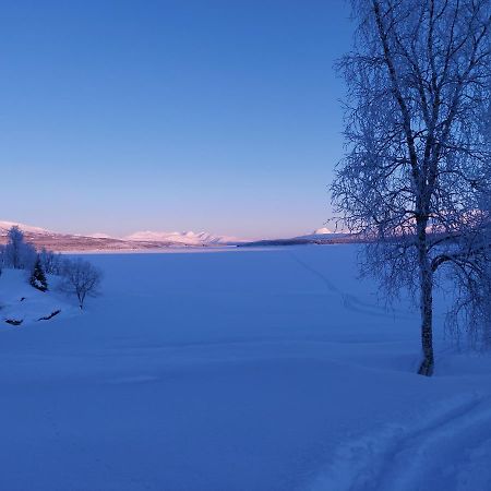 Villmarksgard Tommerstue Hattfjelldal Exterior photo